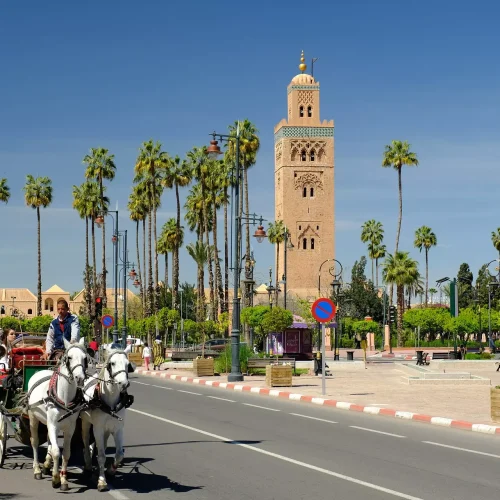 marrakech day trip from agadir